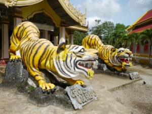 Statues of tigers at a Buddhist Temple in Krabi
