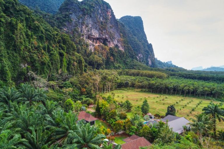 Aerial view of villas surrounded by tropical palms and limestone karsts