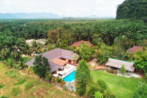 aerial photograph of modern style houses with swimming pool set in tropical gardens with view to tropical palms and islands on coastal horizon in well kept