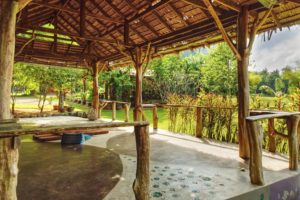 timber posts and traditional palm leaf roof sala in tropical garden of holiday villa in South Thailand